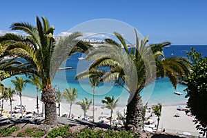 Anfi fel Mst beach, Island of Gran Canaria, Spain photo