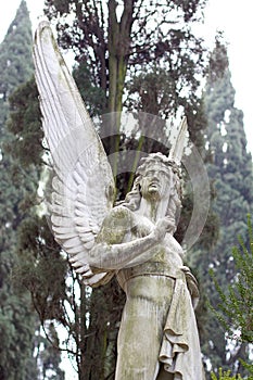 Angel statue on a grave