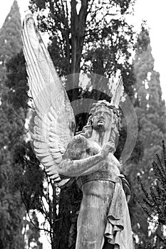 Angel statue on a grave