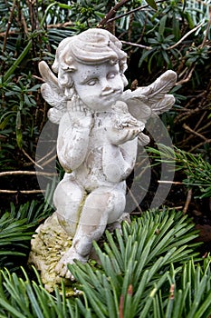 Angel with bird