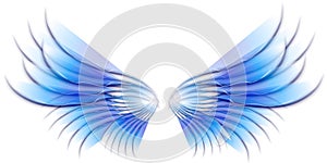 Angel Bird or Fairy Wings Blue