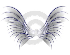 Angel Bird or Fairy Wings Grey
