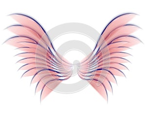 Angel Bird or Fairy Wings Pink