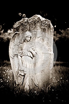 Angel on blank headstone