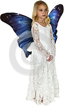 Angel, Butterfly Wings, Imagination, Isolated