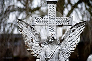 Angel on a cementery