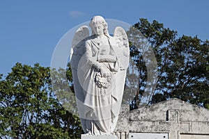 Angel on Cemetery