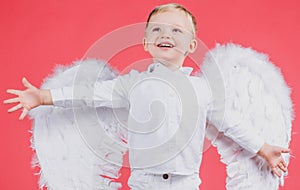 Angel children boy smiling and laughing. Cute kid with white wings. Adorable child cupid. Valentines day card, baner