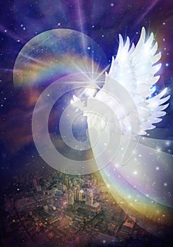 Angel touch, divine intervention, synchronicity, giving blessings, spiritual healing, white dove, freedom, peace, protection