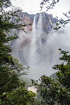 Angel Falls Salto Angel