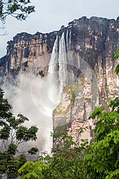 Angel Falls Salto Angel