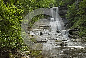 Angel Falls Waterfall