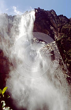 Canaima National Park - Venezuela. The Angel Falls: close view from below at the base of the waterfall. South America photo