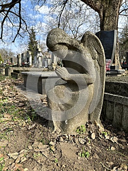 Angel figurine in the public cemetery on a tombstone