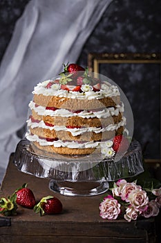 Angel food cake with fresh berries