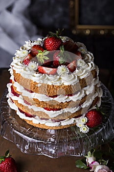 Angel food cake with fresh berries
