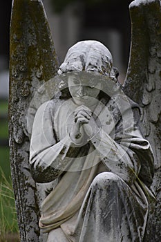 Praying Angel found in Oakwood Cemetery in Fort Worth Texas