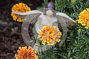 An angel in the garden, with golden yellow marigolds.