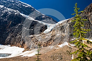 Angel Glacier Mount Edith Cavell in 2021 summer. Jasper National Park beautiful landscape. Alberta, Canada.