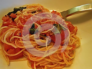 Angel Hair Pasta with Fork