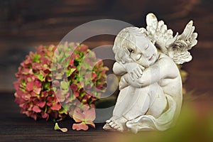 Angel and hydrangea flower