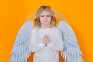 Angel prayer kids. Christmas kids. Little cupid angel child with wings. Studio portrait of angelic kid.