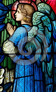 Angel (praying) in stained glass photo