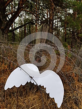 Angel`s wings hang on barbed wire against