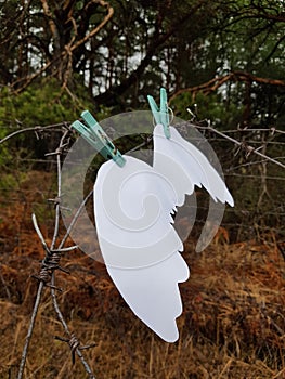 Angel`s wings hang on barbed wire against