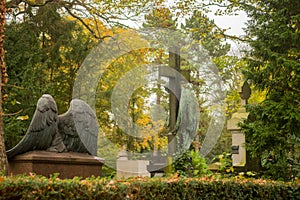 Angel Sculpture on Graveyard