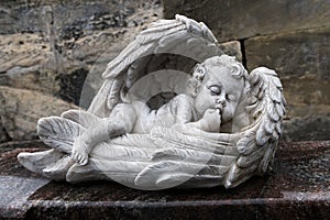 Angel sleeping in his wings