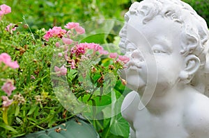 Angel Smelling Flowers