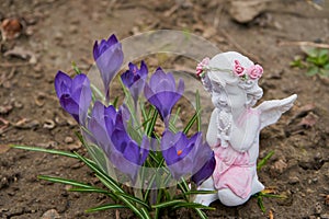 angel with spring flowers, figurine of an angel on a grave with crocus flowers