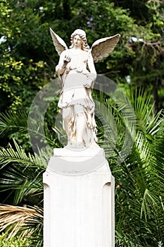 Angel statue