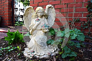 Angel statue in garden