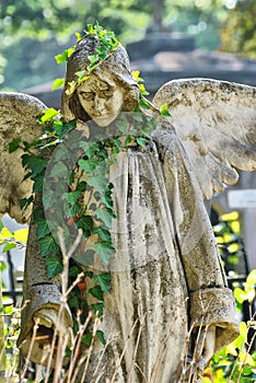 Angel statue in a graveyard