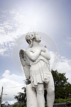 Angel statue in a kilkenny graveyard