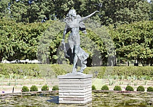 Angel Statue surrounded by Water Lillie's