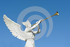 Angel trumpeter photo