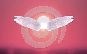 Angel White Wings In front of Sun With Sunset Sky Color. Angelis Wings, spiritual Concept