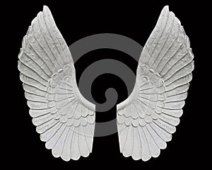 Angel wing isolated on black background