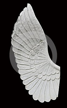 Angel wing isolated on black background
