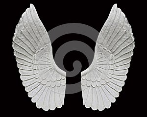 Angel wing isolated on black background