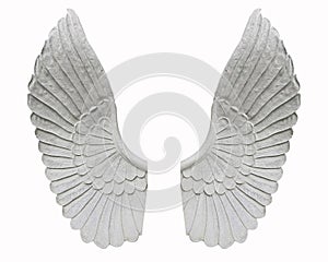 Angel wing isolated on white background