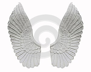 Angel wing isolated on white background