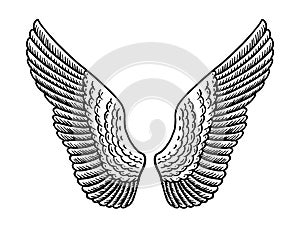 Angel wing in vintage style. Template for tattoo and emblems, t-shirts and logo. Emblem for stickers. Engraved sketch