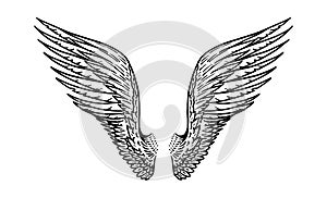 Angel wing in vintage style. Template for tattoo and emblems, t-shirts and logo. Emblem for stickers. Engraved sketch