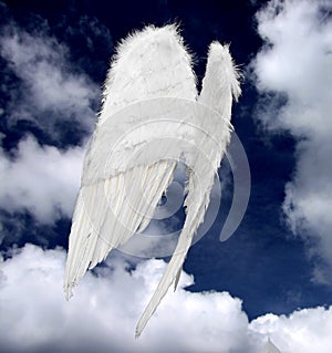 Angel wings photo