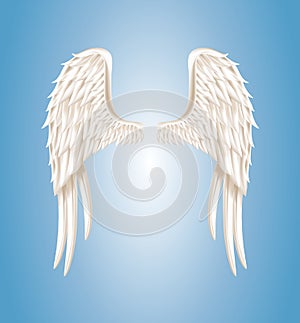 Angel wings