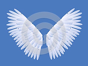 Angel Wings